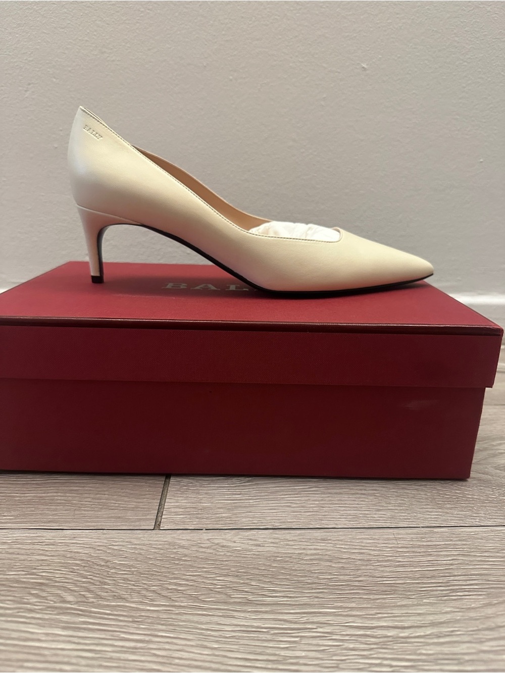Bally pump